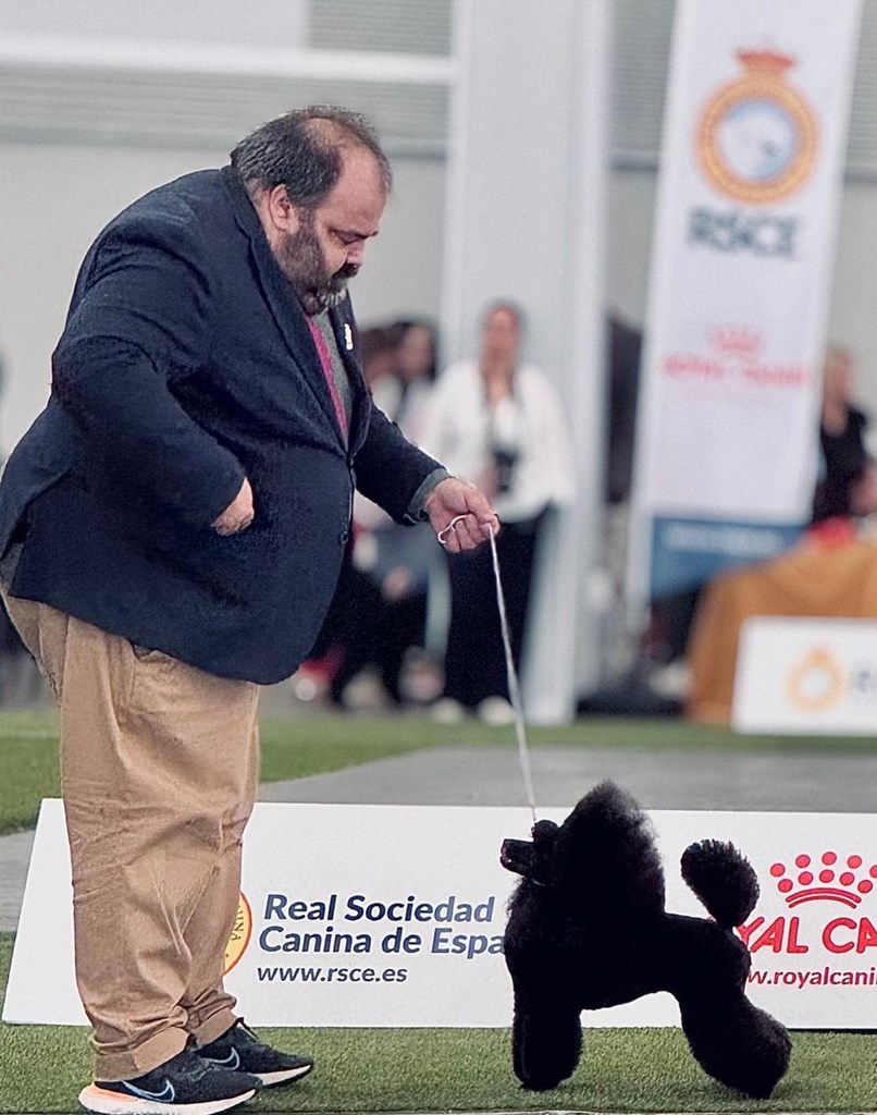 Otra campeón de España entre nuestros perros.