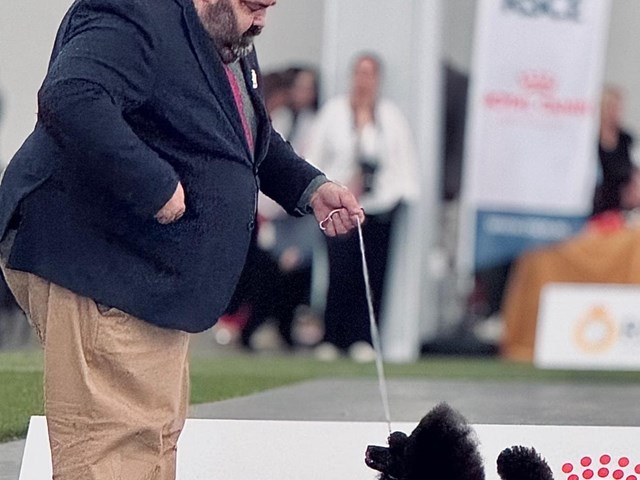 Otra campeón de España entre nuestros perros.